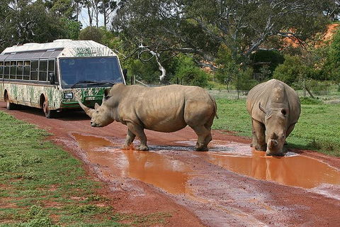 The Ultimate Melbourne Attractions Pass - Sunshine Coast Tourism 4