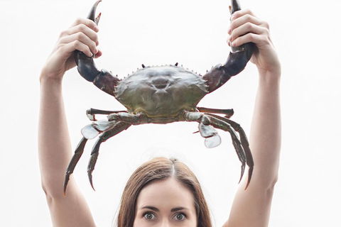 The Ultimate Gold Coast Attractions Pass - Sunshine Coast Tourism 0