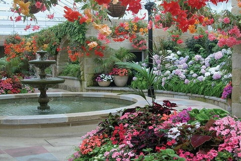 Hobart Half-Day Sightseeing Coach Tram Tour - Holiday Sunshine Coast 3