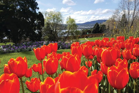 Hobart Half-Day Sightseeing Coach Tram Tour - Holiday Sunshine Coast 4