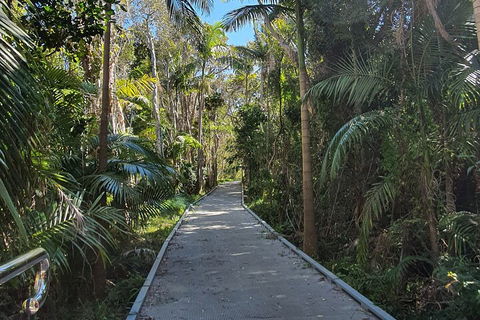 Half Day Guided Small Group Walk - Sunshine Coast Tourism 3