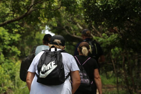 Half Day Guided Small Group Walk - Sunshine Coast Tourism 4