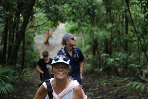 Half Day Guided Small Group Walk - Sunshine Coast Tourism 5