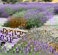 Kangaroo Island Food and Wine Trail Tour - Holiday Sunshine Coast