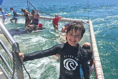 Port Stephens Private Tour From Sydney, With Dolphin/ Whale Cruise Options - Holiday Sunshine Coast 0