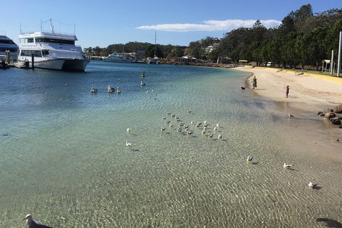 Port Stephens Private Tour From Sydney, With Dolphin/ Whale Cruise Options - Holiday Sunshine Coast 1
