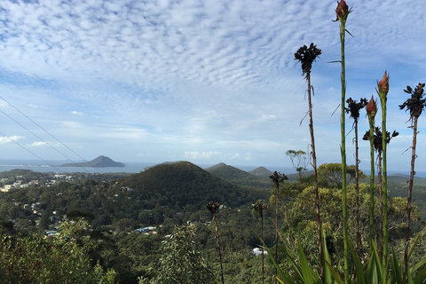 Port Stephens Private Tour From Sydney, With Dolphin/ Whale Cruise Options - Holiday Sunshine Coast 3