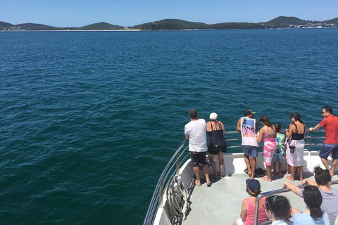 Port Stephens Private Tour From Sydney, With Dolphin/ Whale Cruise Options - Holiday Sunshine Coast 4