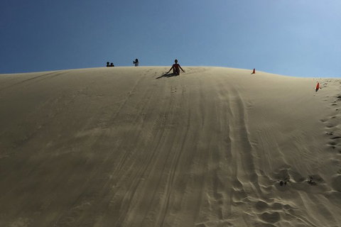 Port Stephens Private Tour From Sydney, With Dolphin/ Whale Cruise Options - Holiday Sunshine Coast 5