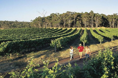 2-Day Margaret River Wine Experience From Perth - Sunshine Coast Tourism 3