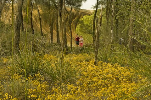 2-Day Wave Rock, York, Wildflowers & Aboriginal Experience - Sunshine Coast Tourism 2