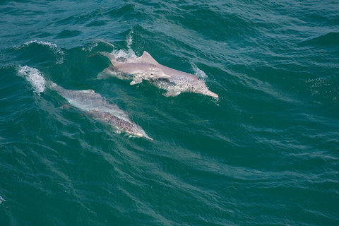 North Stradbroke Island Private Tour With Pickup - Holiday Sunshine Coast 0
