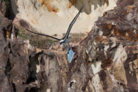 North Stradbroke Island Private Tour With Pickup - Holiday Sunshine Coast 2