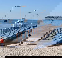 Monkey Mia Dolphins  Shark Bay Air Tour From Perth - Sunshine Coast Tourism