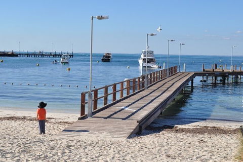 Monkey Mia Dolphins & Shark Bay Air Tour From Perth - Sunshine Coast Tourism 0