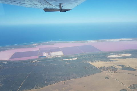Monkey Mia Dolphins & Shark Bay Air Tour From Perth - Sunshine Coast Tourism 5