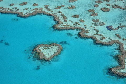 Reef And Island Scenic Flight From Airlie Beach - Holiday Sunshine Coast 5