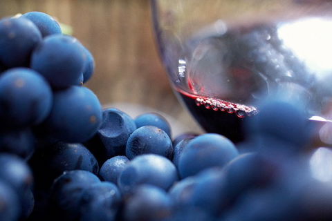 Yarra Valley 2-6 Guests Premium Food And Wine Inc Lunch At Dominique Portet - Sunshine Coast Tourism 5