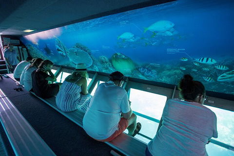 Great Barrier Reef Day Cruise To Reefworld - Sunshine Coast Tourism 0