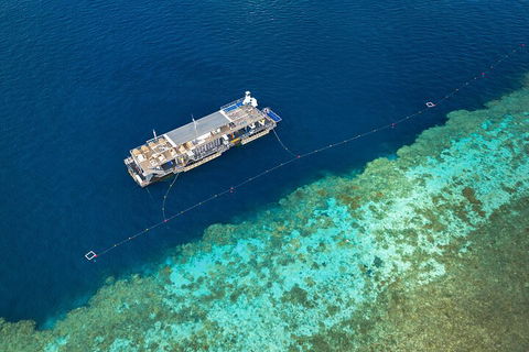 Great Barrier Reef Day Cruise To Reefworld - Sunshine Coast Tourism 2