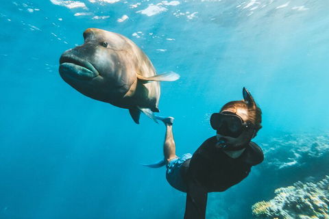 Great Barrier Reef Day Cruise To Reefworld - Sunshine Coast Tourism 3