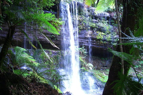 Mt Field National Park And Russell Falls From Hobart - Sunshine Coast Tourism 0