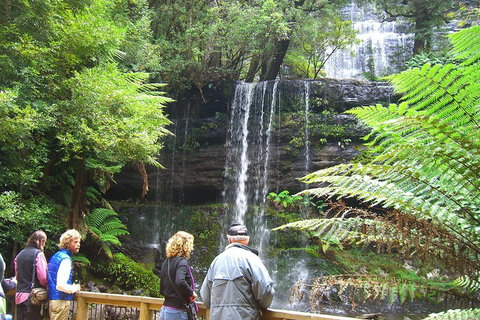 Mt Field National Park And Russell Falls From Hobart - Sunshine Coast Tourism 1