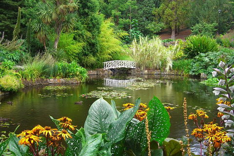 Hobart City Sightseeing Tour Including MONA Admission - Sunshine Coast Tourism 3