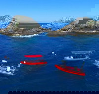 3-Hour Byron Bay Certified Scuba Diving Tour - Holiday Sunshine Coast