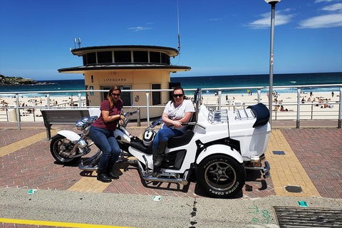 Sydney Scenic Trike Or Harley Davidson Tour - Sunshine Coast Tourism 1