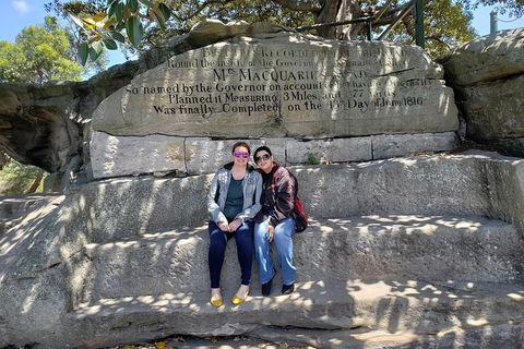 Sydney Scenic Trike Or Harley Davidson Tour - Sunshine Coast Tourism 2