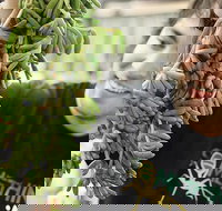 Small-Group Adelaide Central Market Early Breakfast Tour - Sunshine Coast Tourism