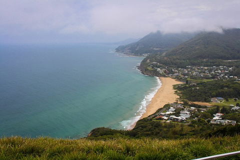 South Coast Private Charter - Sunshine Coast Tourism 3