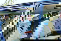 Albany's Whale Story