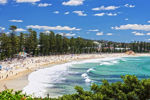 Sydney's Northern Beaches Private Tour With River Cruise To Secluded Beaches - Sunshine Coast Tourism 0