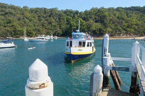 Sydney's Northern Beaches Private Tour With River Cruise To Secluded Beaches - Sunshine Coast Tourism 2