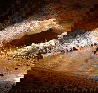 Windjana Explorer - Sunshine Coast Tourism