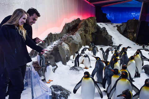 Penguin Passport At SEA LIFE Melbourne Aquarium - Sunshine Coast Tourism 0