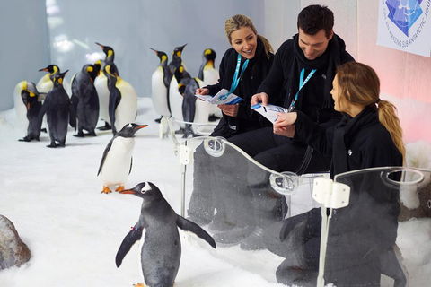 Penguin Passport At SEA LIFE Melbourne Aquarium - Sunshine Coast Tourism 5