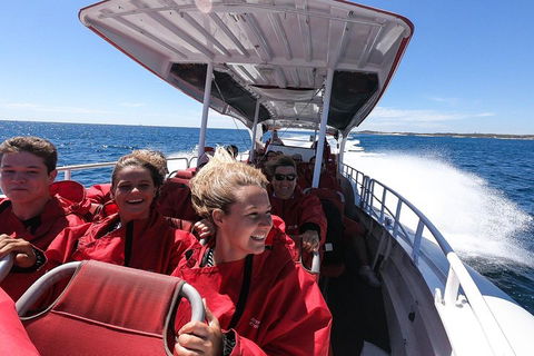 Adventure Rottnest Tour With Ferry & Adventure Cruise From Perth Or Fremantle - Holiday Sunshine Coast 0