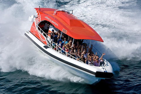 Adventure Rottnest Tour With Ferry & Adventure Cruise From Perth Or Fremantle - Holiday Sunshine Coast 2