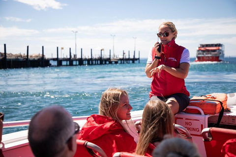 Adventure Rottnest Tour With Ferry & Adventure Cruise From Perth Or Fremantle - Holiday Sunshine Coast 4
