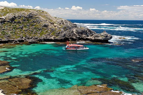 Adventure Rottnest Tour With Ferry & Adventure Cruise From Perth Or Fremantle - Holiday Sunshine Coast 5