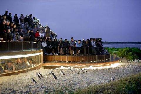 Small-Group Phillip Island Penguin Parade Day Tour From Melbourne - Sunshine Coast Tourism 3