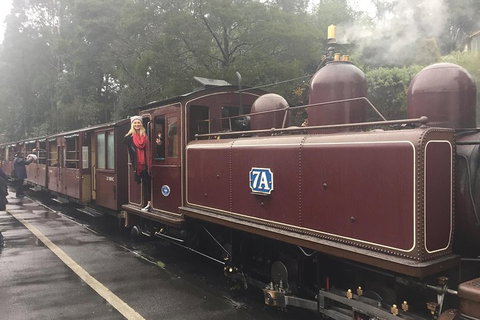 Puffing Billy, Moonlit Sanctuary & Penguins Day Tour - Sunshine Coast Tourism 4