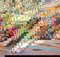 Full Day Sunshine Coast Hinterland Luxury Small Group Tour from Brisbane - Sunshine Coast Tourism