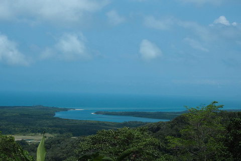 Cape Tribulation, Daintree Rainforest And Wildlife Tour - Holiday Sunshine Coast 1