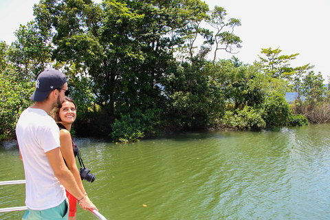 Cape Tribulation, Daintree Rainforest And Wildlife Tour - Holiday Sunshine Coast 2