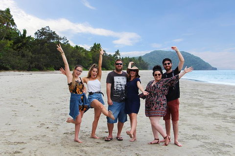 Cape Tribulation, Daintree Rainforest And Wildlife Tour - Holiday Sunshine Coast 4