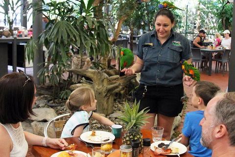 Wildlife Habitat Port Douglas - Holiday Sunshine Coast 2
